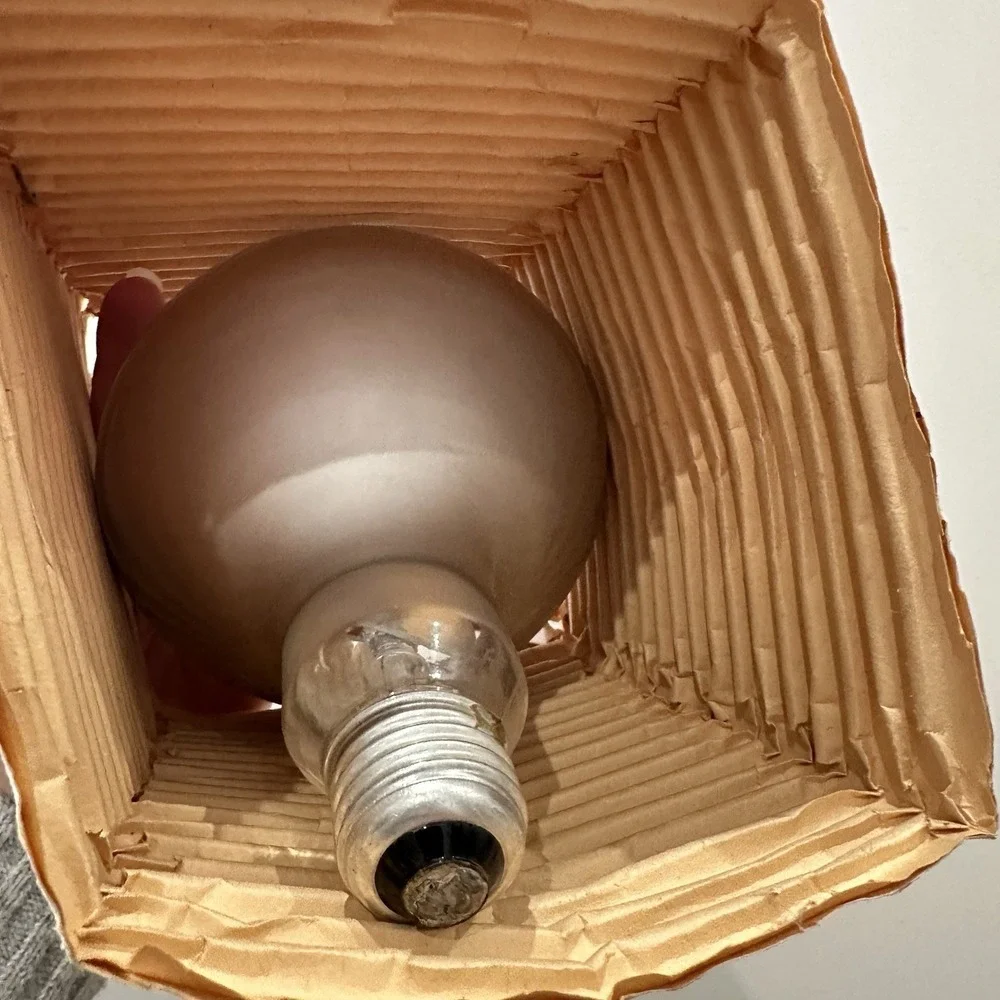 VTG New NOS Sylvania‎ Reflector Light Bulb Indoor Light Pamida 90s